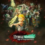 Hyrule Warriors - Age Of Imprisonment 2 game cover