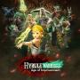 Hyrule Warriors - Age Of Imprisonment game cover