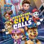 Paw Patrol Adventure City Calls - Nintendo Switch game cover