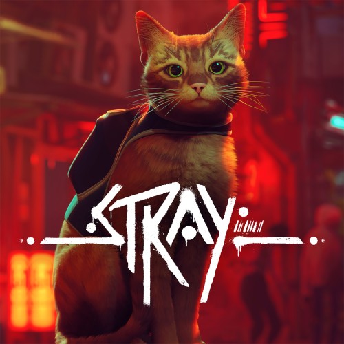 Stray